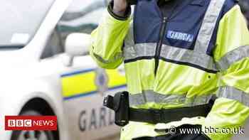 Donegal suspected human remains found to be from animal