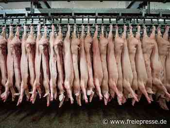 Arbeitsminister: Neue Auflagen für Fleischbranche noch in diesem Jahr - Freie Presse