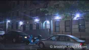 Police probe Fordham shooting that left two 20-year-olds injured - News 12 Brooklyn