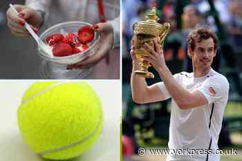 Your guide to a summer of tennis - socially distanced sport