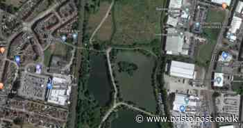 Green space to be sold off to make way for 110 homes