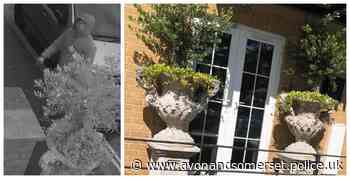 CCTV image released after theft of ornaments