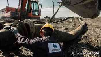 „Das ist ein Verbrechen gegen die Natur und gegen unsere Kinder“