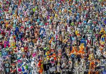 New documentary 'The Fandom' chronicles history of furry nation