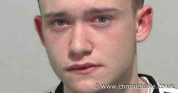 Teenager banned from owning animals after stabbing pet bird to death