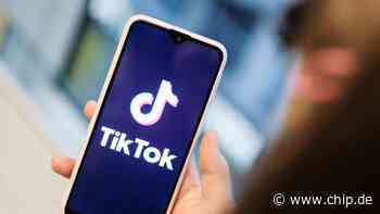 Social Media-Phänomen der Stunde: Wie Sie als Unternehmen bei TikTok richtig durchstarten - CHIP Online Deutschland