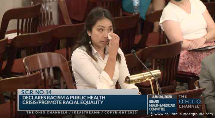 Proponents Speak on Racism as a Public Health Crisis