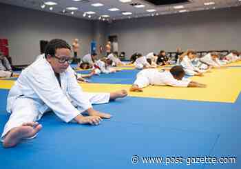 Martial arts studios learning with no contact in the green phase - Pittsburgh Post-Gazette