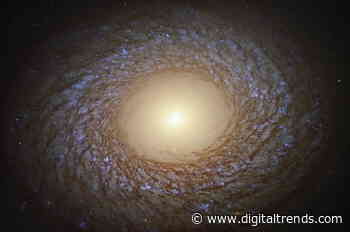 Woolly galaxy captured by Hubble has an enormous bulge in the middle