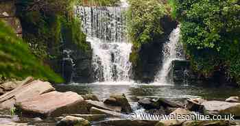 New visitor centre planned for Penllergare Valley Woods in Swansea