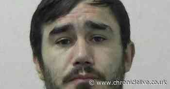 Bully bit vulnerable child, gouged his eyes and whipped a man with a dog chain