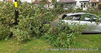 Singer saved by headache as 40ft tree branch crushes her new car