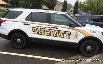 Police Blotter: Escaped cows an ongoing concern - Wadena Pioneer Journal