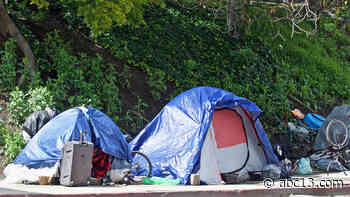 Houston-area homeless population stays flat, but could increase in 2021 - KTRK-TV