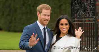 Meghan Markle 'embarrassed' Harry with pregnancy announcement, book claims