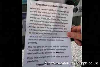 Residents hit out at poster threatening 'fouling' felines in Angus village - Evening Telegraph