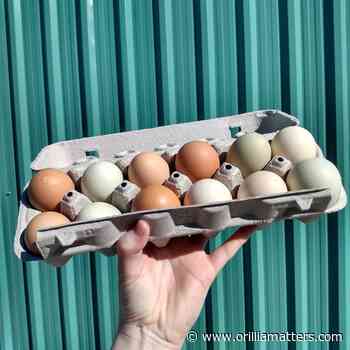 One of Orillia's farmers' markets is reopening next weekend - OrilliaMatters