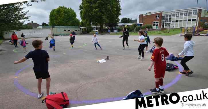 Entire year groups of up to 240 pupils could be placed in school ‘bubbles’
