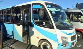 Taxibuses Coronel- Lota: No prestarán servicios a Concepción en fin de semana largo - Canal 9 Bío Bío Televisión