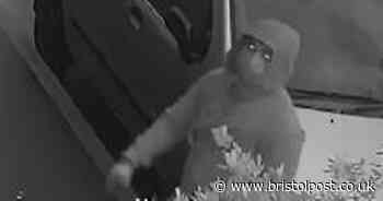 Ornamental urns and pillars stolen from home