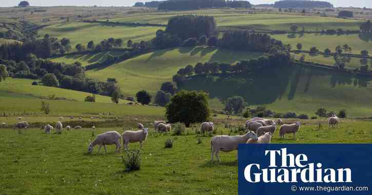 Britain beyond lockdown: can we make more space for nature?