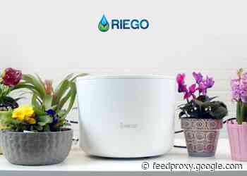 Riego automatic house plant watering system