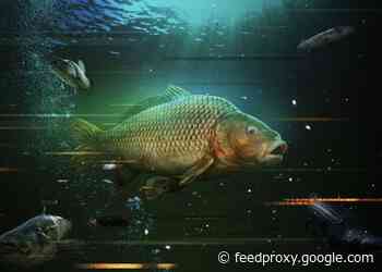 The Catch Carp & Coarse fishing game now available