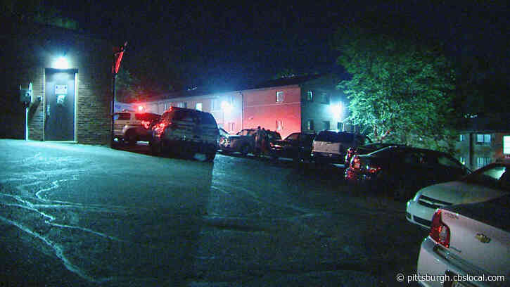 Police Investigating Early Morning Assault In Spring Hill