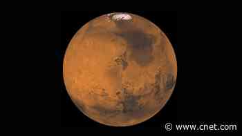 The search for life on Mars and the Space Tiger King     - CNET
