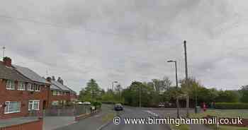 Coot found hanged from telegraph wire with sickening injuries
