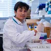 Researcher aims to find better way to treat deadly asbestos disease - University News: The University of Western Australia