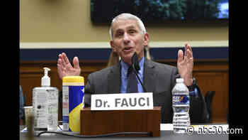 Dr. Anthony Fauci testifies before Senate committee