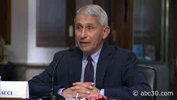 Dr. Anthony Fauci, other top health officials testify before Senate committee | LIVE
