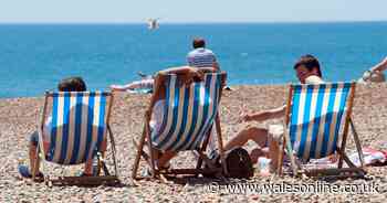 Warning UK summers could reach 40C by century's end