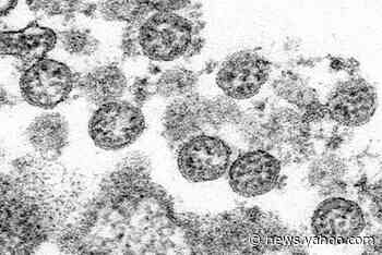 Serious coronavirus-linked condition hit 285 US children