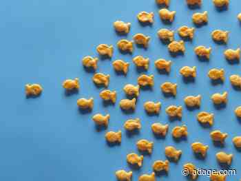 Healthcare brands stand out amid sea of COVID-19 messaging