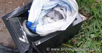 Revolver, tasers and drugs safe seized as four arrested in morning gang raids