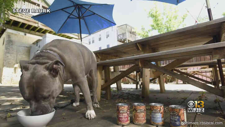 An Order At Blue Pit BBQ This Week Means A Donation To BARCS