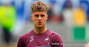 Joe Rodon's season may be over as Swansea City defender suffers fresh injury