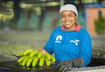 Plus krijgt van Oxfam Novib mensenrechten-rapportcijfer 1-