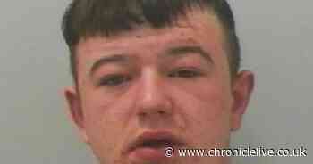 Thug jailed after video of 'violent and unprovoked attack' was posted online