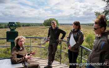 Goed nieuws voor zandhagedis en geelgors op de hei bij Planken Wambuis