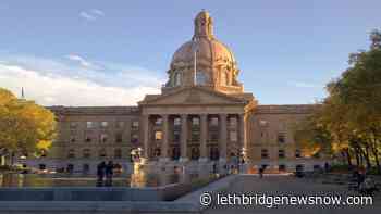 Province increases outdoor gathering limit - Lethbridge News Now