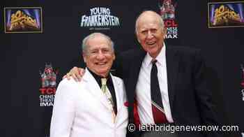 Carl Reiner, beloved creator of 'Dick Van Dyke Show,' dies - Lethbridge News Now