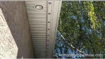 Electrical permits and inspections required for programmable lighting systems - Lethbridge News Now