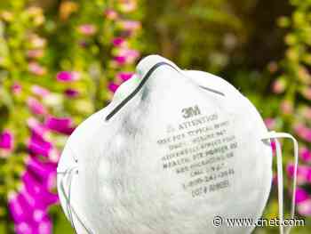 Fauci: US going in 'wrong direction' as coronavirus cases rise     - CNET