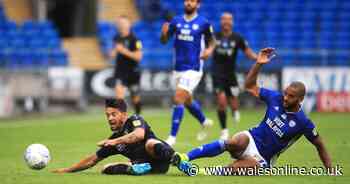 Cardiff City player ratings as Curtis Nelson puts in huge performance