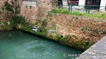 Sfalcio dell'erba sulle Mura: in futuro potrebbe pensarci un drone - TrevisoToday