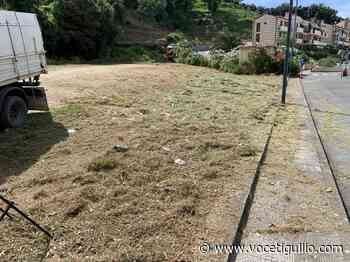 Sestri, via erba e piante malate: senza sosta la cura del verde - La Voce del Tigullio
