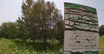 Via Viviani, dimenticato e il Parco della vita soffoca sotto l'erba - La Provincia